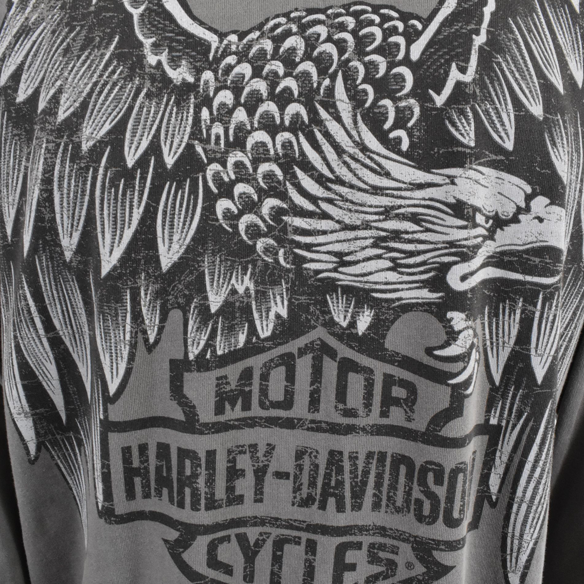 Harley-Davidson Men's Jacket Grey Heritage Eagle Full Zip (S04)