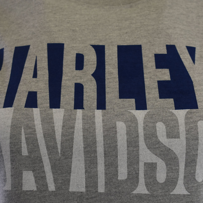 Harley-Davidson Women's T-Shirt Grey Blue Block Logo S/S (S26)