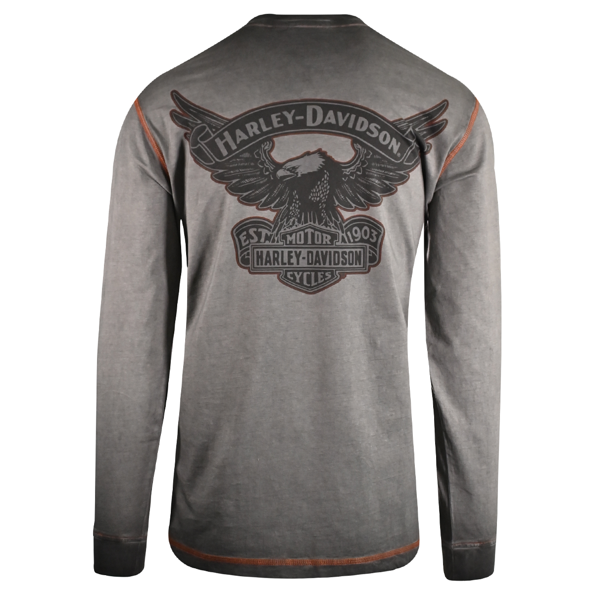 Harley-Davidson Men's T-Shirt Grey Distressed Iron Block Long Sleeve (S48)