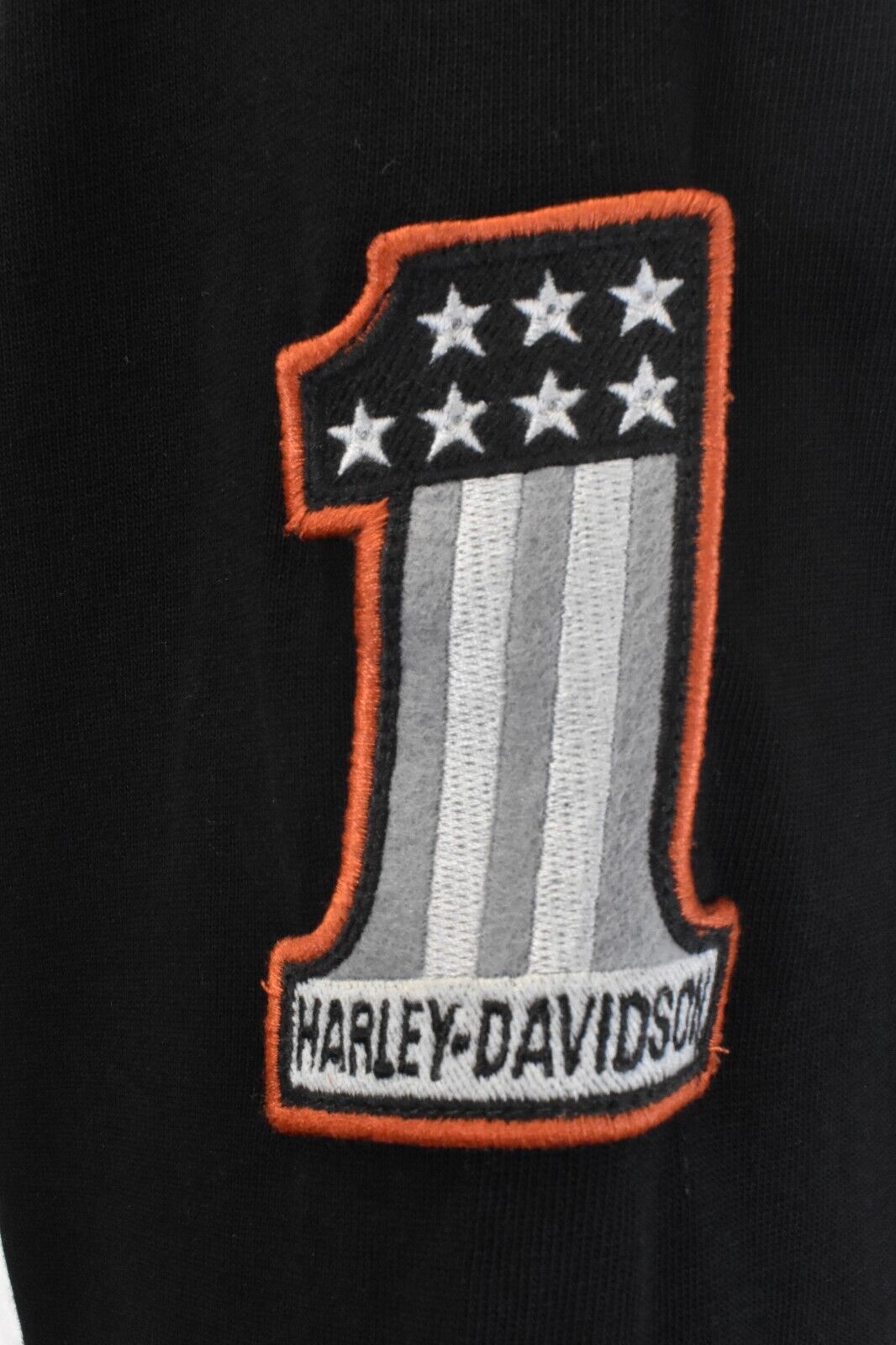 Harley-Davidson Men's Hooded T-Shirt Grey Wing Long Sleeve Raglan (S72)