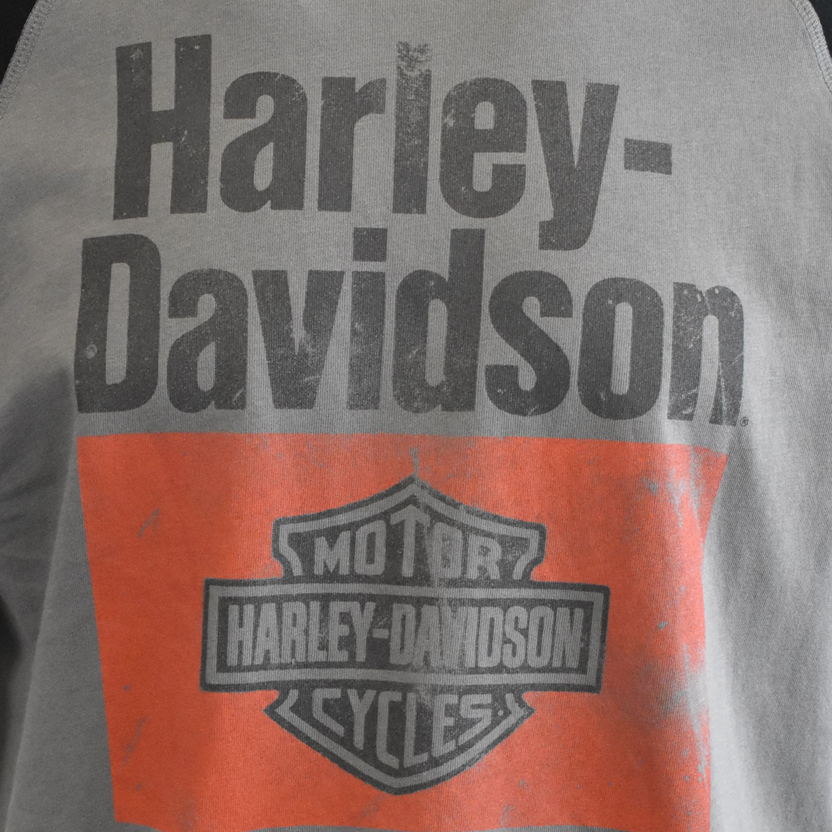 Harley-Davidson Men's T-Shirt Colorblock Arial Print Raglan (S79)