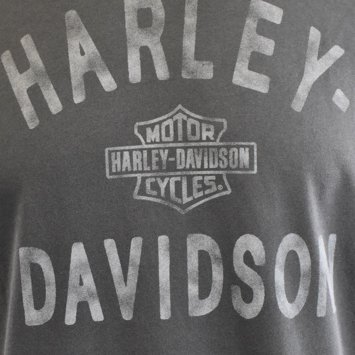 Harley-Davidson Men's T-Shirt Charcoal Chalk Letters Logo Print (S75)
