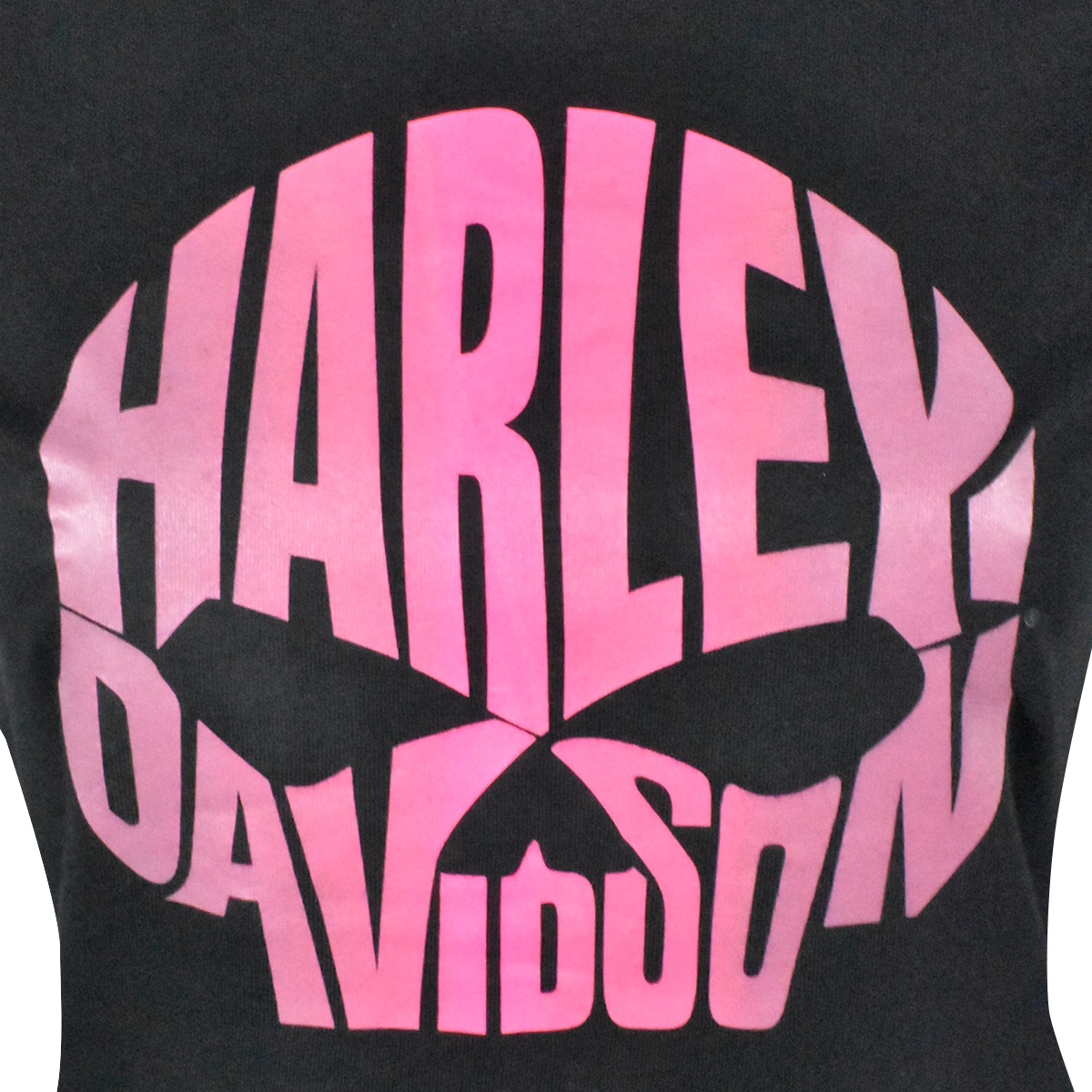 Harley-Davidson Women's T-Shirt Charcoal Pink Text Skull Short Sleeve (S02)