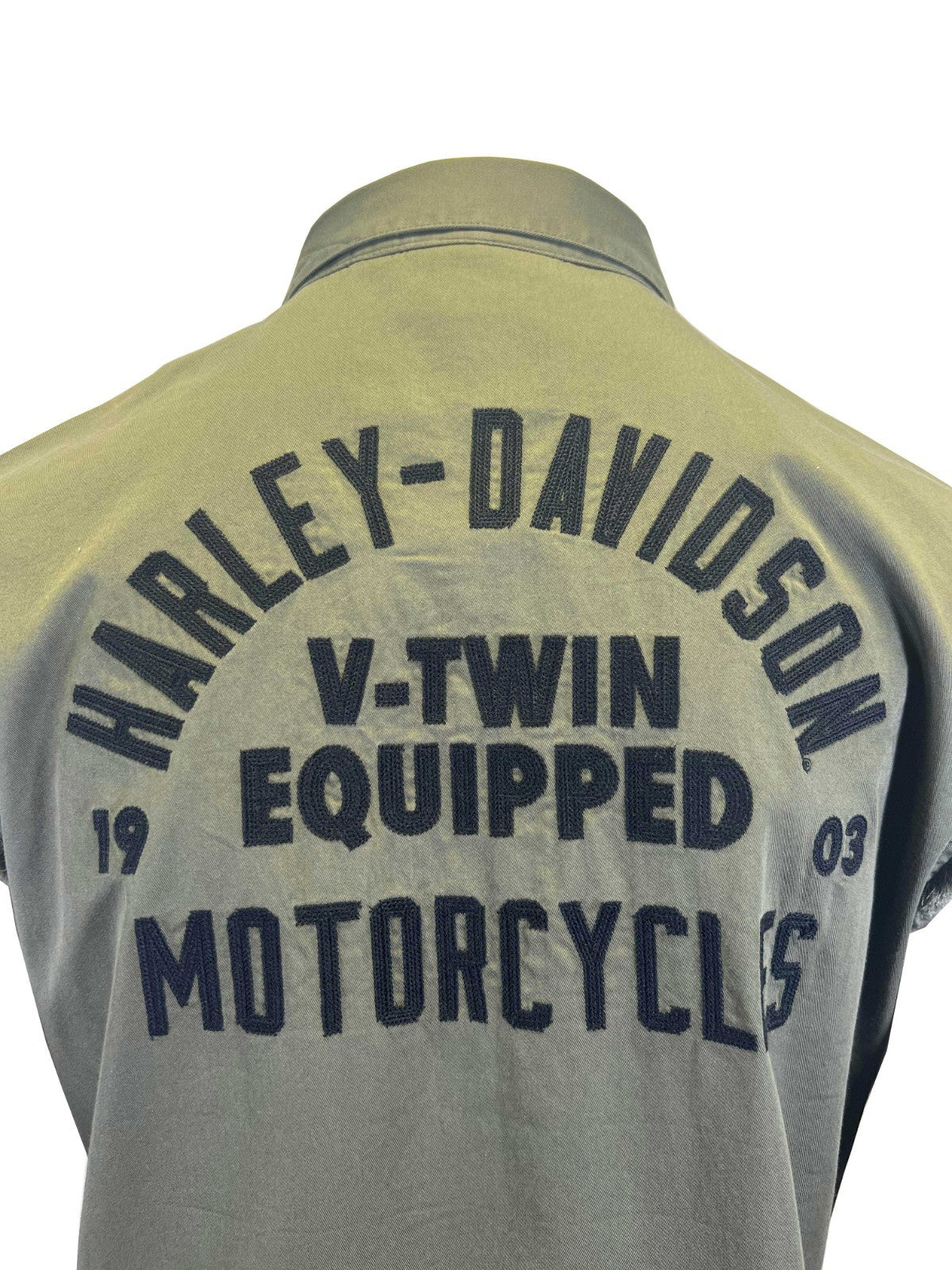 Harley-Davidson Men's Grape Leaf Vest Sturgis Blowout Sleeveless Shirt (S02)