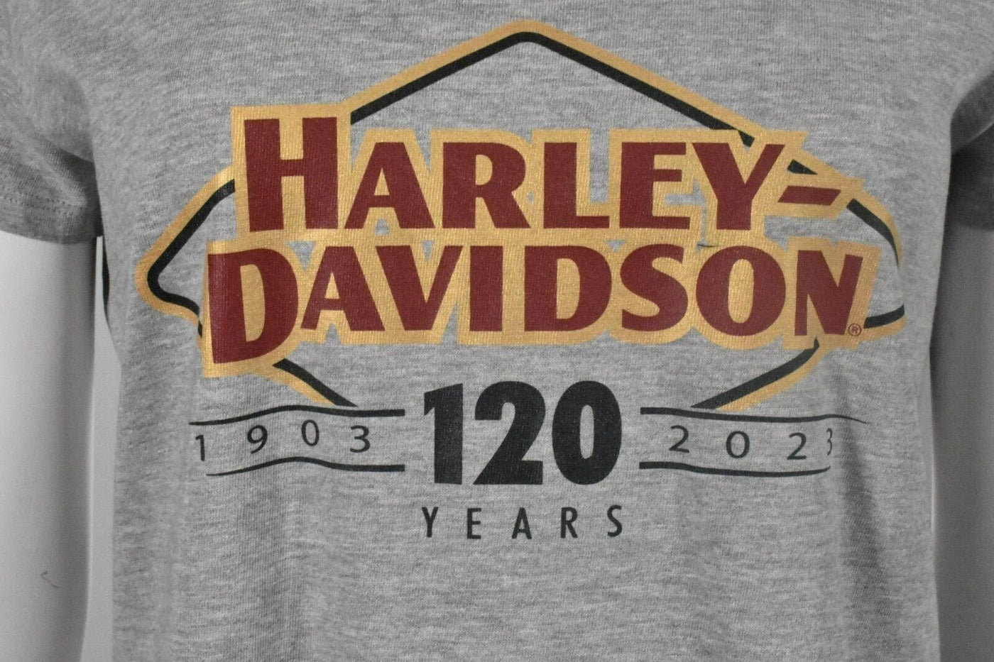 Harley-Davidson Women's T-Shirt 120th Anniversary Speedbird Diamond (S09)