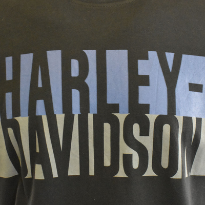 Harley-Davidson Men's T-Shirt Black Blue Grey Colorblock Logo Tee (S82)