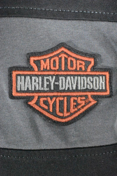 Harley-Davidson Men's T-Shirt Black Copperblock Logo Stripe Through (S62)