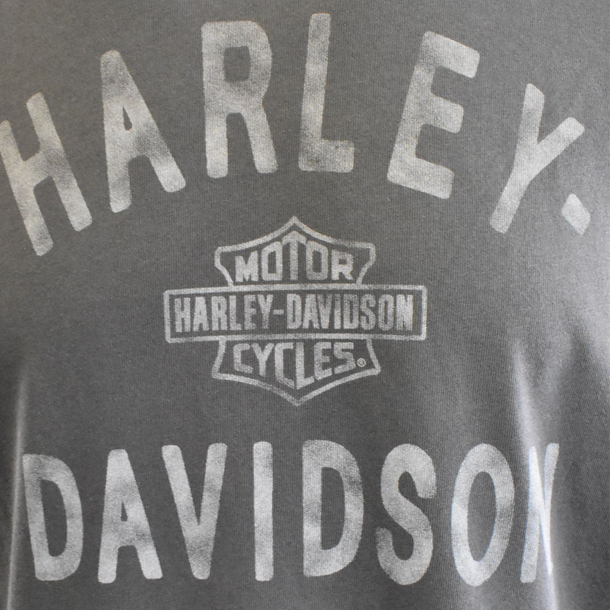 Harley-Davidson Men's T-Shirt Charcoal Chalk Letters Logo Print (S75)