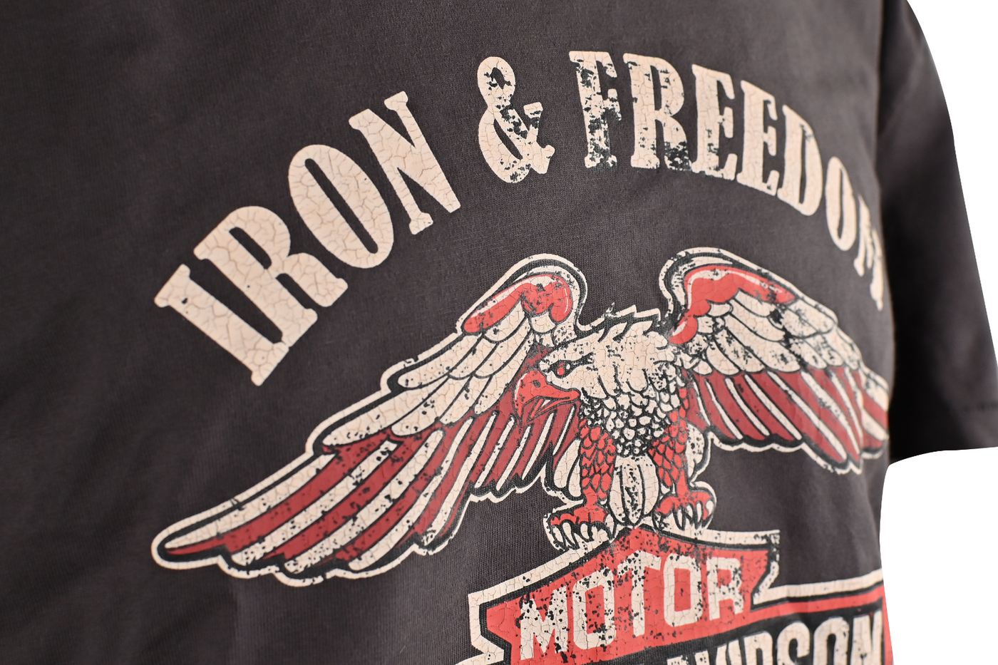 Harley-Davidson Men's T-Shirt Black Iron & Freedom Short Sleeve (S53)