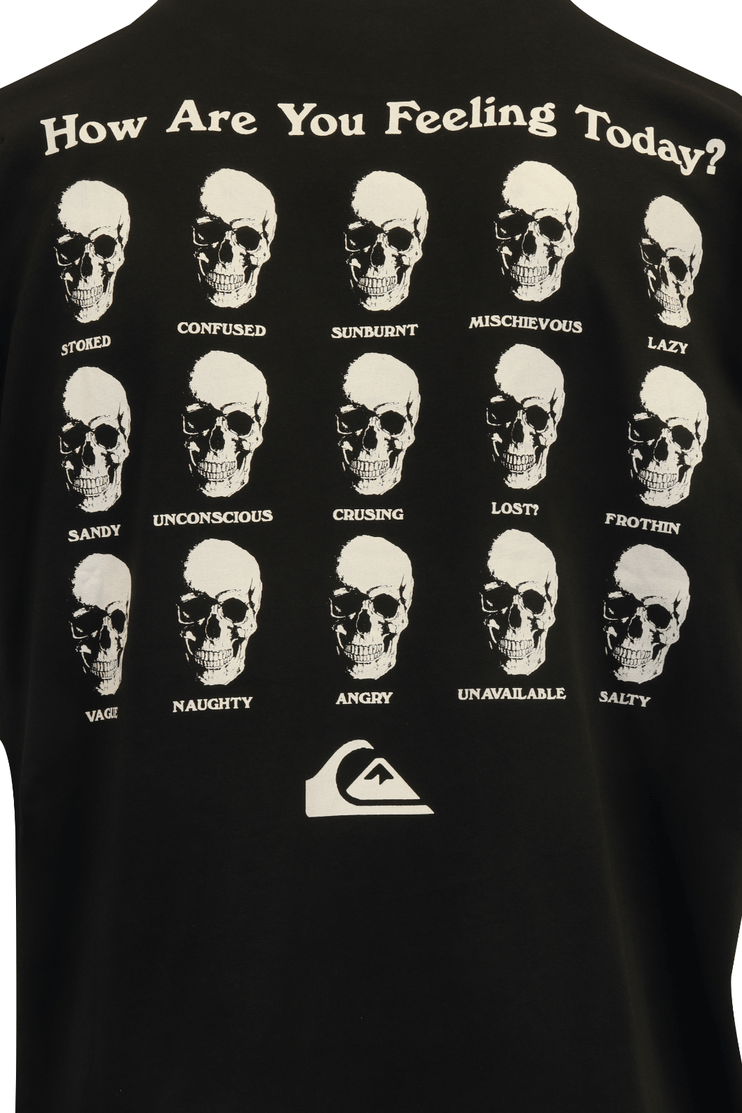 Quiksilver Men's T-Shirt Black Official Logo Graphic Print S/S (S08)