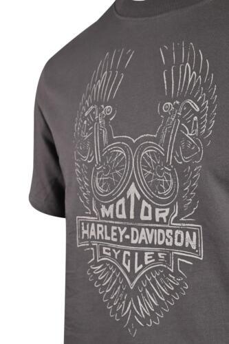 HD Branded Men's T-Shirt Charcoal Grey Bike Wings Short Sleeve (S55)