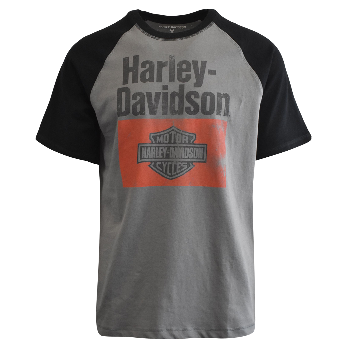 Harley-Davidson Men's T-Shirt Colorblock Arial Print Raglan (S79)