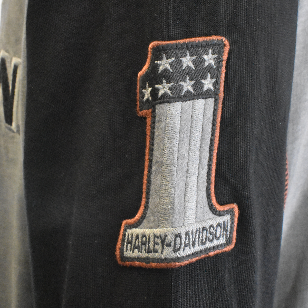 Harley-Davidson Men's Hooded T-Shirt Grey Wing Long Sleeve Raglan (S72)