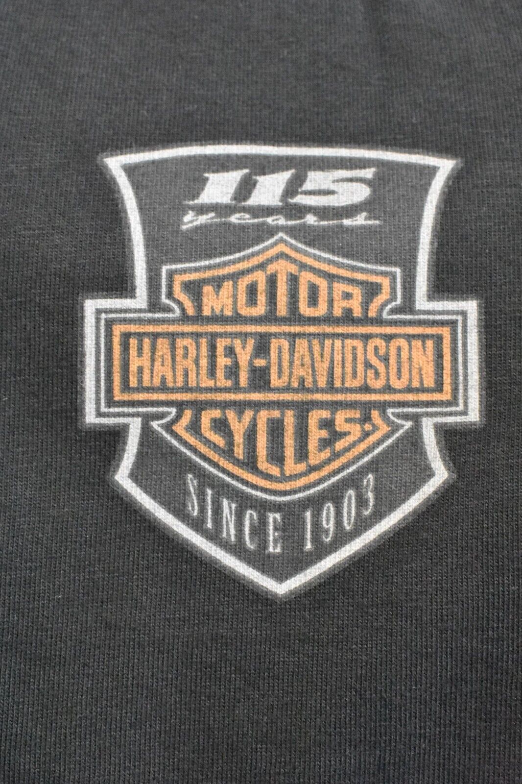 Harley-Davidson Men's T-Shirt Eagle Wings 115th Anniversary Graphic (S76)