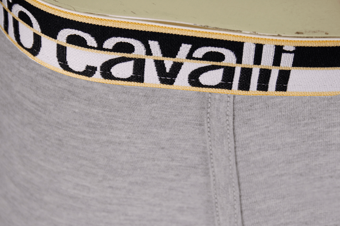 Roberto Cavalli Men's 2 Pack Grey Stretch Boxer Briefs