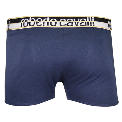 Roberto Cavalli Men's 2 Pack Blue Stretch Boxer Briefs