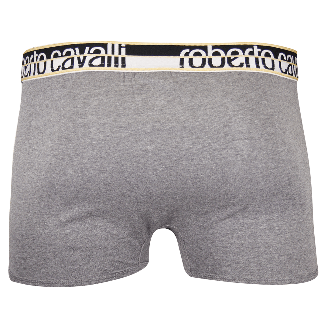 Roberto Cavalli Men's 2 Pack Grey Stretch Boxer Briefs