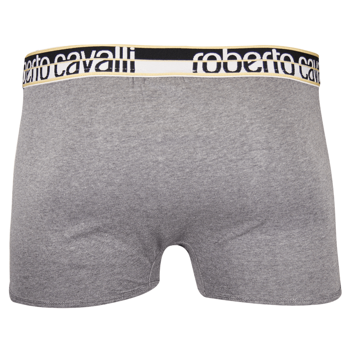 Roberto Cavalli Men's 2 Pack Grey Stretch Boxer Briefs