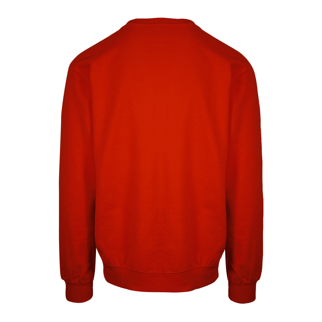 Volcom Men's Classic L/S Crewneck Sweater