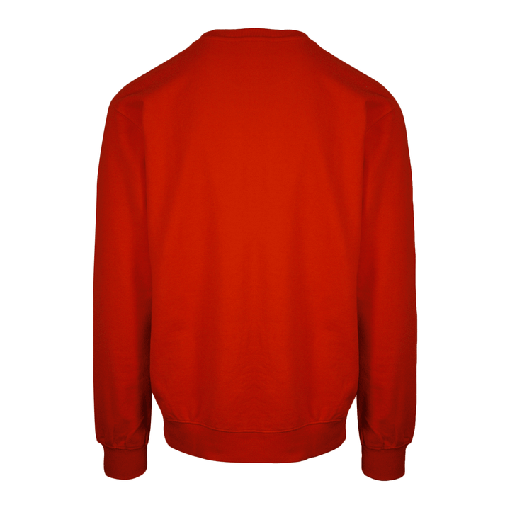 Volcom Men's Classic L/S Crewneck Sweater