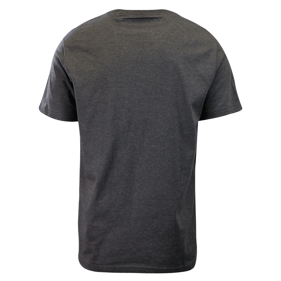 Eddie Bauer Men's 2 Pack Dark Grey Graphic & Sage Green Crew S/S T-Shirt (S02)