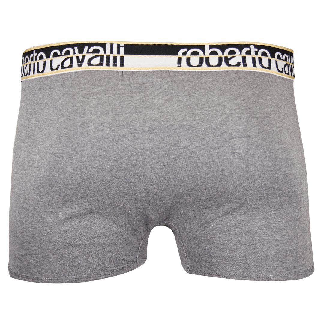 Roberto Cavalli Men&