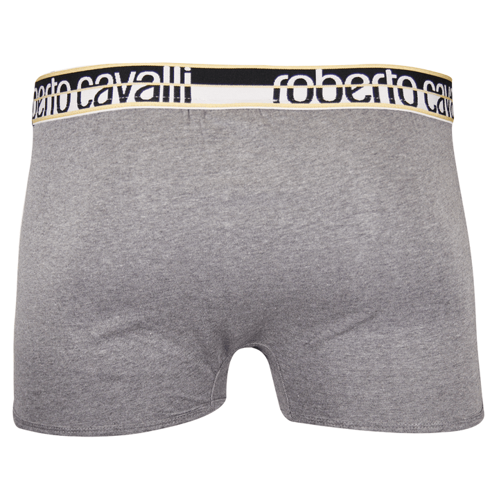 Roberto Cavalli Men&