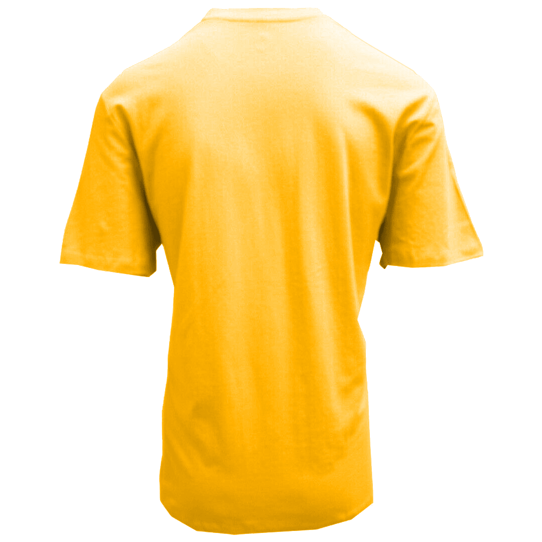 Volcom Men's Gold Pistol Blanks BXY S/S T-Shirt (S18)