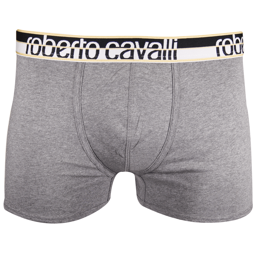 Roberto Cavalli Men&