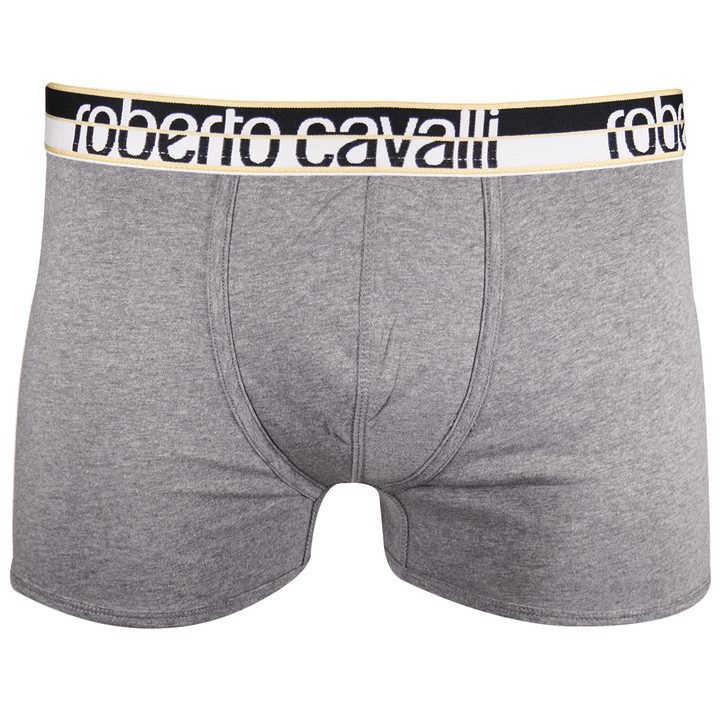 Roberto Cavalli Men&