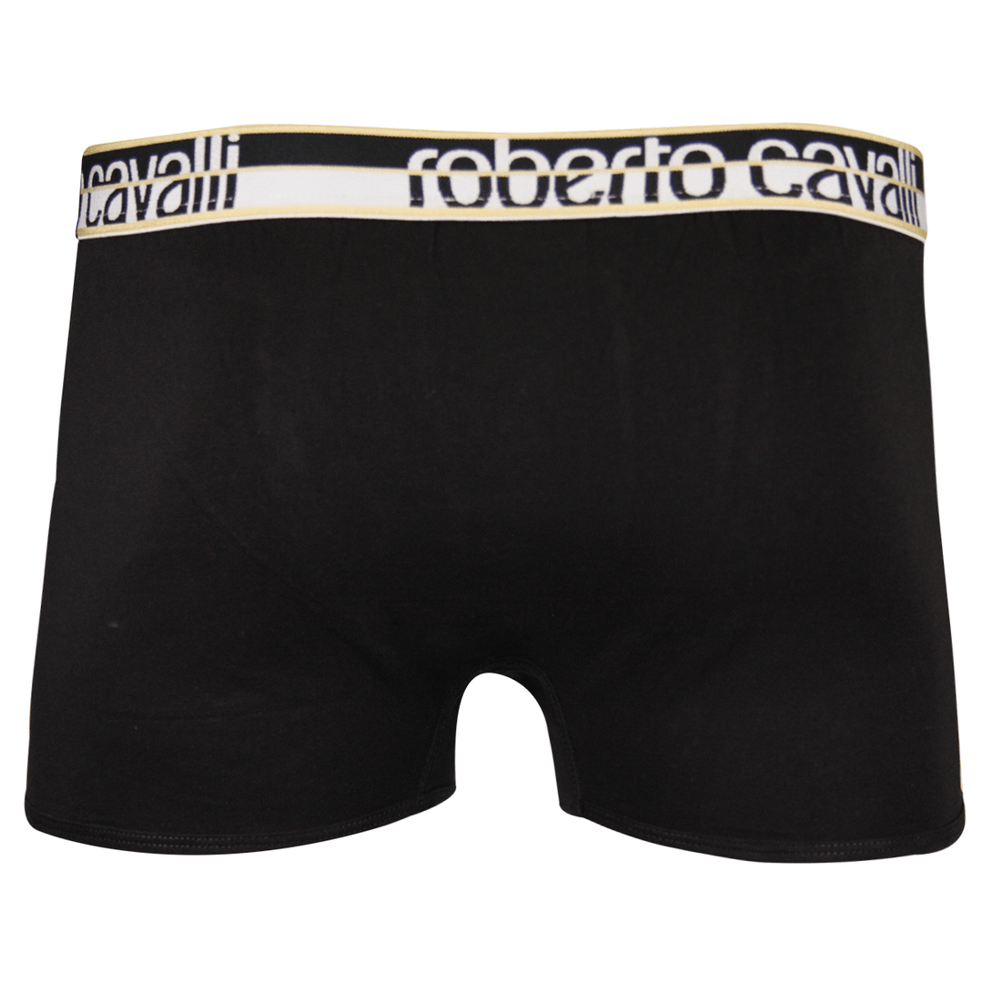 Roberto Cavalli Men&