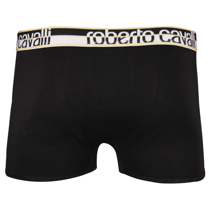 Roberto Cavalli Men&