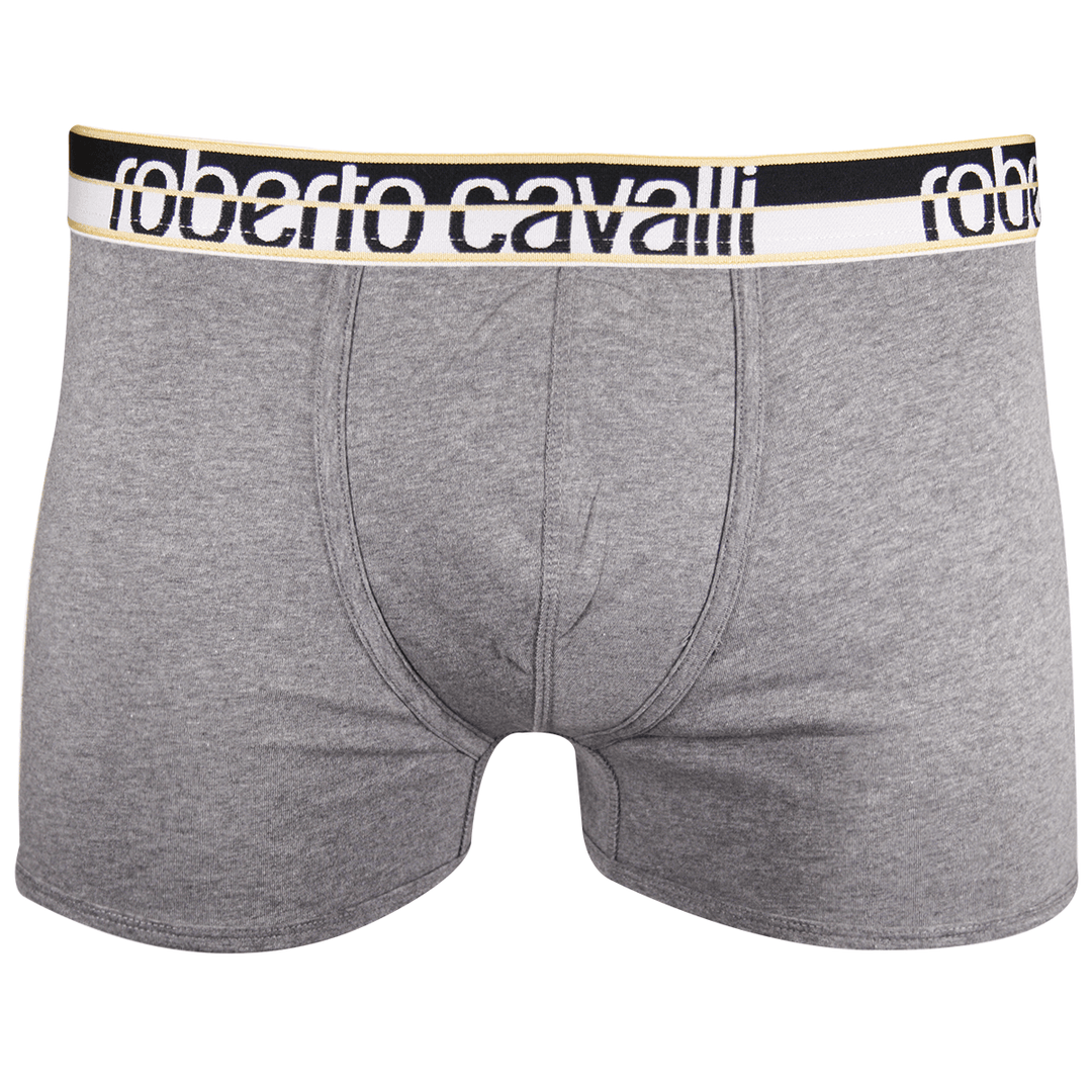 Roberto Cavalli Men's 2 Pack Grey Stretch Boxer Briefs