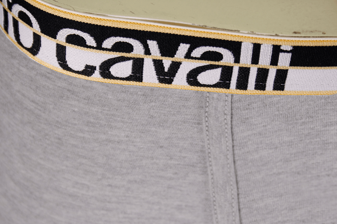 Roberto Cavalli Men&